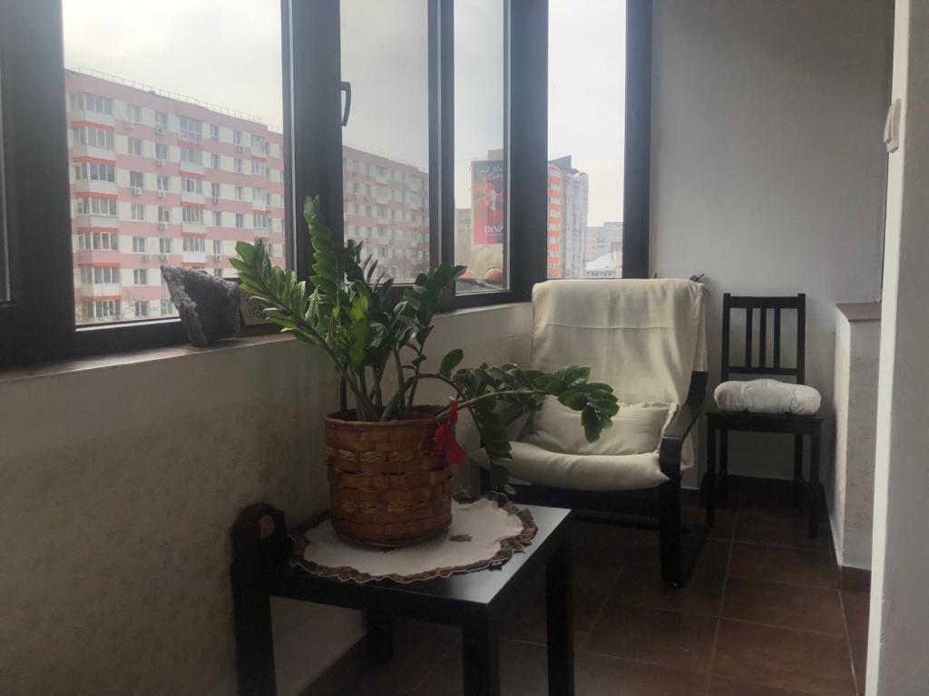 בוקרשט Marie Apartment מראה חיצוני תמונה